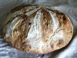 Gros Pain boule complet aux noix (au levain chef)