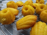 Madeleines pour les nuls, facile et rapide