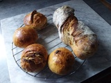 Pain au levain pré cuisson dans eau bouillante