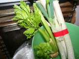 Potager en appartement, c'est facile et c'est rigolo