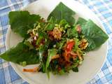 Salade verte aux feuilles du jardin (presque tout), aux tomates cerise et aux noix