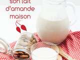 5 techniques pour faire un lait d’amande maison