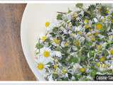 Blog cuisine bio : en mai je cuisine les fleurs