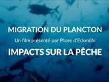 Impact du réchauffement climatique sur la pêche : Phare d’Eckmühl s’associe à Tara Expéditions pour sensibiliser le grand public