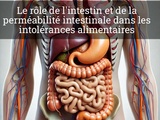 Rôle de l’intestin et de la perméabilité intestinale dans les intolérances alimentaires et notamment le gluten