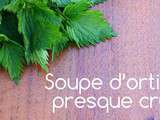 Soupe à l’ortie (presque crue) et vertus de l’ortie