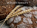 Y a-t-il du gluten dans l’épeautre et le petit épeautre