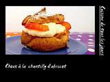 Choux à la chantilly d'abricot