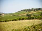 Temps des vendanges