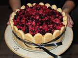 Charlotte au Chocolat et Fruits Rouges