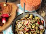 Salade gourmande de lentilles et fèves, aux radis roses