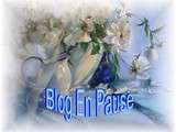 Blog en Pause