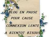 Blog en Pause