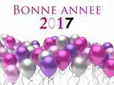 Bonne Année 2017