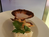 Coquilles st jacques carotte celeri creme et vive les fetes de noel