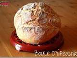 Boule d'épeautre ou mon tout premier pain