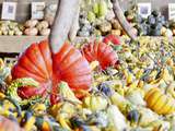 Courges : mes 13 meilleures recettes alcalines de cucurbitacées