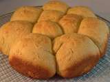 Dinner Rolls