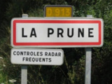 Prune