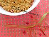 Crumble rhubarbe framboise aux flocons davoine