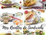 Compilation de Mes Recettes de Sandwichs