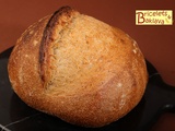 Pain idéal : levain d’une obsession