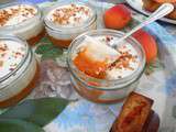 Pannacotta à l’amande et aux abricots miellés