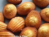 S madeleines