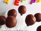 Cake pops tutoriel & recettes pour bien debuter la reedition