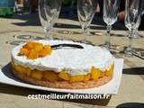 Gâteau noix de coco mangue vanille