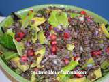 Salade de lentilles