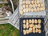 Croquants aux amandes de Mireille