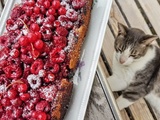 Gâteau renversé aux framboises