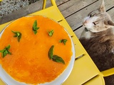 Gâteau sans cuisson façon charlotte aux abricots