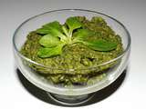 Pesto de mâche aux graines de tournesol