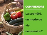 Sobriété, un mode de vie durable indispensable