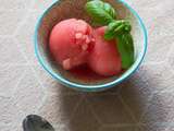 Sorbet minute à la pastèque