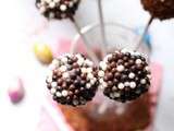 Cakes Pops choco au salidou