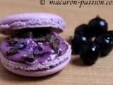 Macarons Cassis Chocolat