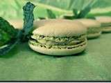 Macarons Mojito