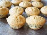 Muffins chocolat lait de coco