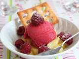 Sorbet Framboise sur son lit d’Ananas