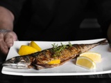 Découvrir les meilleures tables pour savourer des poissons de Méditerranée