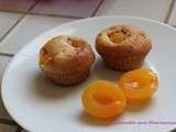 Muffins aux abricots et au lait de coco