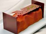 Bûche « Déshabillez-moi » Chocolat Citron selon la recette de Frédéric Bau