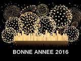 Bonne année 2016