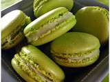 Buzz  Macarons, ganache chocolat blanc, citron et cambava