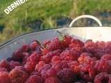 Framboises en Chutneys d'Automne