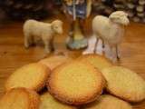 Biscuits à la cannelle (bredele)