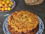 Gâteau crumble aux mirabelles